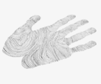 Palm Print Recognition